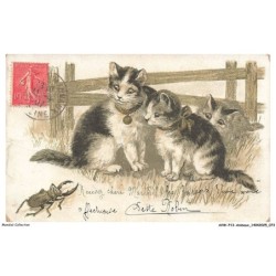 AVWP13-0751-ANIMAUX - Chats - Insectes