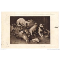AVWP13-0752-ANIMAUX - Des chats