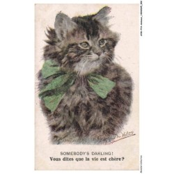 AVWP14-0782-ANIMAUX - Chat - Somebody's darling - Vous dites que la vie est chère