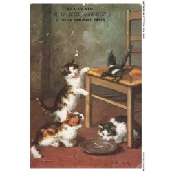 AVWP13-0753-ANIMAUX - Chats - Souvenir de la belle jardinière