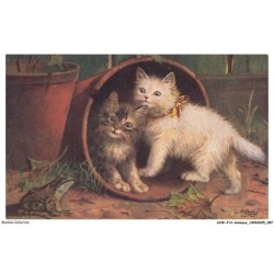 AVWP13-0758-ANIMAUX - Chats