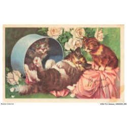 AVWP13-0762-ANIMAUX - Chats - Bonne année