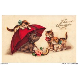 AVWP13-0763-ANIMAUX - Chats - Heureux anniversaire