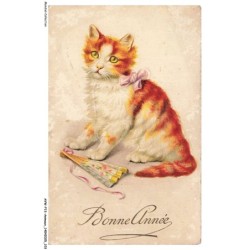 AVWP13-0766-ANIMAUX - Chats - Bonne année