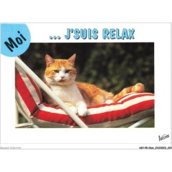 AKYP8-0762-CHAT - JE SUIS RELAX