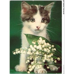 AKYP8-0752-CHAT - CHIENS ET CHATS NOS AMIS - CHATON ET FLEURS