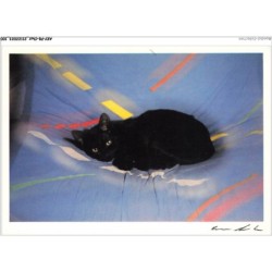AKYP8-0750-CHAT - CARLOS SPAVENTA - LE CHAT BABY MOOM