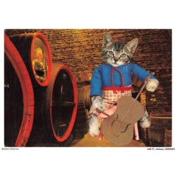 ASBP1-0001-ANIMAUX - CHAT ET GUITARE