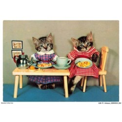 ASBP1-0002-ANIMAUX - CHATS A TABLE
