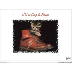AKYP8-0760-CHAT - J'AI UN COUP DE POMPE - CHATON