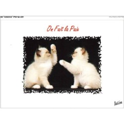 AKYP8-0770-CHAT - ON FAIT LA PAIX - CHATONS