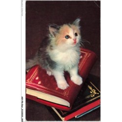 AKYP8-0702-CHAT - CHAT SUR UN LIVRE