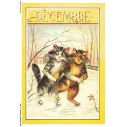 ASBP1-0034-ANIMAUX - CHATS ET LE SKI