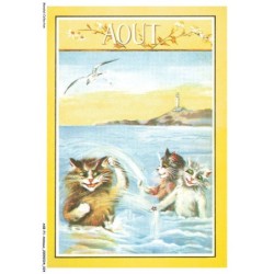 ASBP1-0013-ANIMAUX - CHATS SE BAIGNENT
