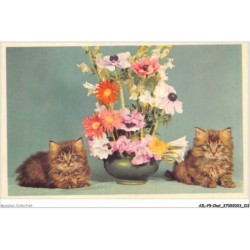 AILP9-0941 - CHAT - chats et pot de fleurs