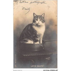 AILP9-0868 - CHAT - lapin sauté