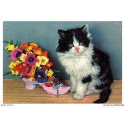 ASHP4-0222-CHAT - CHATON PRES D'UN POT DE FLEURS EN FORME DE CHAUSSURE