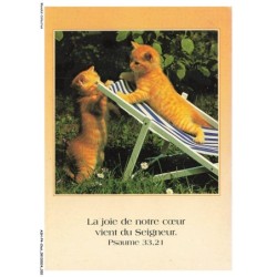 ASHP4-0210-CHAT - DEUX CHATONS DE MEME COULEUR ET UNE CHAISE DE PLAGE