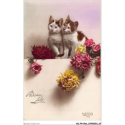 AILP9-0892 - CHAT - chats et fleurs - bonne fête