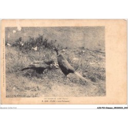 AJGP10-0865 - OISEAUX - FLEE - LES FAISANS