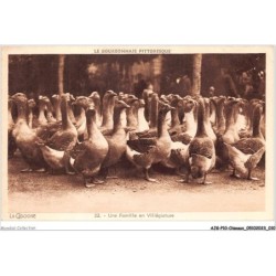 AJGP10-0848 - OISEAUX - UNE FAMILLE EN VILLEGIATURE