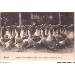 AJGP10-0860 - OISEAUX - L'AUVERGNE PITTORESQUE - UNE FAMILLE EN VILLEGIATURE