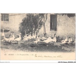 AJGP10-0849 - OISEAUX - BUSSET - UN TROUPEAU D'OIES