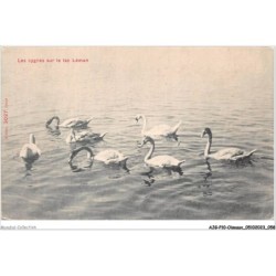AJGP10-0872 - OISEAUX - LES CYGNES SUR LE LAC LEMAN