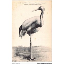 AJKP2-0125 - ANIMAUX - GRUE DE MANDCHOURIE