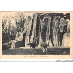 AIDP7-ANIMAUX-0671 - parc zoologique - les autruches
