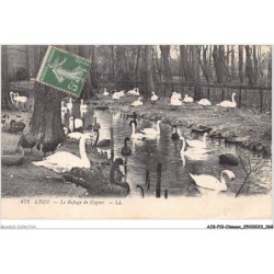 AJGP10-0877 - OISEAUX - LYON - LE REFUGE DE CYGNE