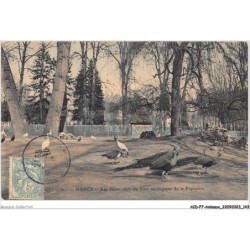AIDP7-ANIMAUX-0653 - nancy - les hôtes ailés du parc zoologique de la pépinière