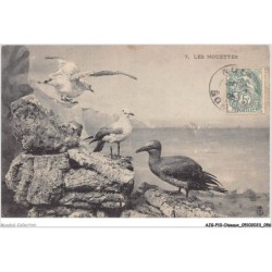 AJGP10-0871 - OISEAUX - LES MOUETTES