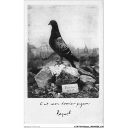 AJGP10-0861 - OISEAUX - UN PIGEON