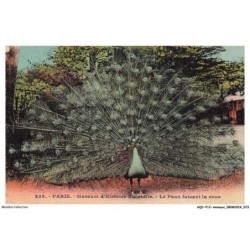 AQYP12-0747-ANIMAUX - PARIS - Museum d'histoire naturelle - Le paon faisant la roue
