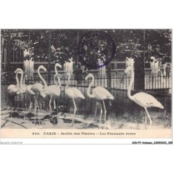 AIDP7-ANIMAUX-0659 - paris - jardin des plantes - les flamants roses