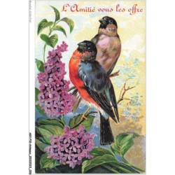 AKVP10-0760-ANIMAUX - L'AMITIE SOUS LES OFFRE - DEUX OISEAUX PERCHES