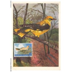 AOAP8-0568-ANIMAUX - oiseau sur une branche