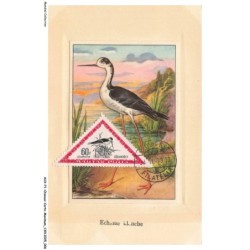 AUXP1-0004-OISEAUX-CARTE-MAXIMUM - ECHASSE BLANCHE