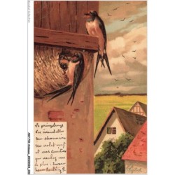 AKVP10-0763-ANIMAUX - OISEAU NOURRISSANT SES PETITS