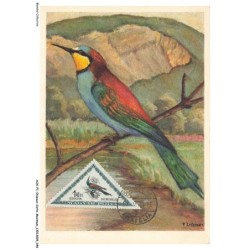 AUXP1-0024-OISEAUX-CARTE-MAXIMUM - BIENENFRESSER - GUEPIER - GRUCCIONE