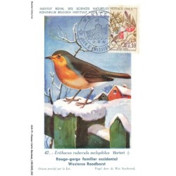 AUXP1-0017-OISEAUX-CARTE-MAXIMUM - ROUGE-GORGE FAMILIER OCCIDENTAL - Institut royal des sciences naturelles de belgique