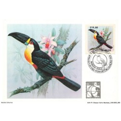 AUXP1-0026-OISEAUX-CARTE-MAXIMUM - TUCANO-DE-BICO-PRETO