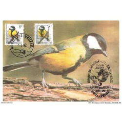 AUXP1-0049-OISEAUX-CARTE-MAXIMUM - MESANGE CHARBONNIERE - KOOLMEES