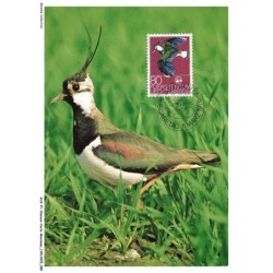 AUXP1-0041-OISEAUX-CARTE-MAXIMUM - VANELLUS VANELLUS - KIEBITZ - VANNEAU