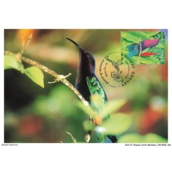 AUXP1-0054-OISEAUX-CARTE-MAXIMUM - COLIBRI GRENAT