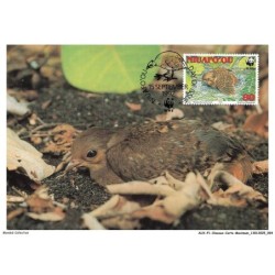 AUXP1-0048-OISEAUX-CARTE-MAXIMUM - NIUAFO'OU MEGAPODE
