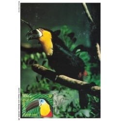 AUXP1-0053-OISEAUX-CARTE-MAXIMUM - TOUCAN ARIEL