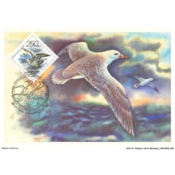 AUXP1-0047-OISEAUX-CARTE-MAXIMUM - FULMARUS GLACIALIS