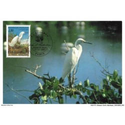 AUXP1-0036-OISEAUX-CARTE-MAXIMUM - AUDUBON AIGRETTE NEIGEUSE